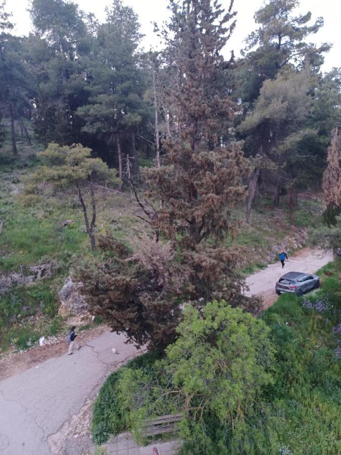 Ένα Μέρος Για Ήσυχες Διακοπές Leilighet Ioánnina Eksteriør bilde