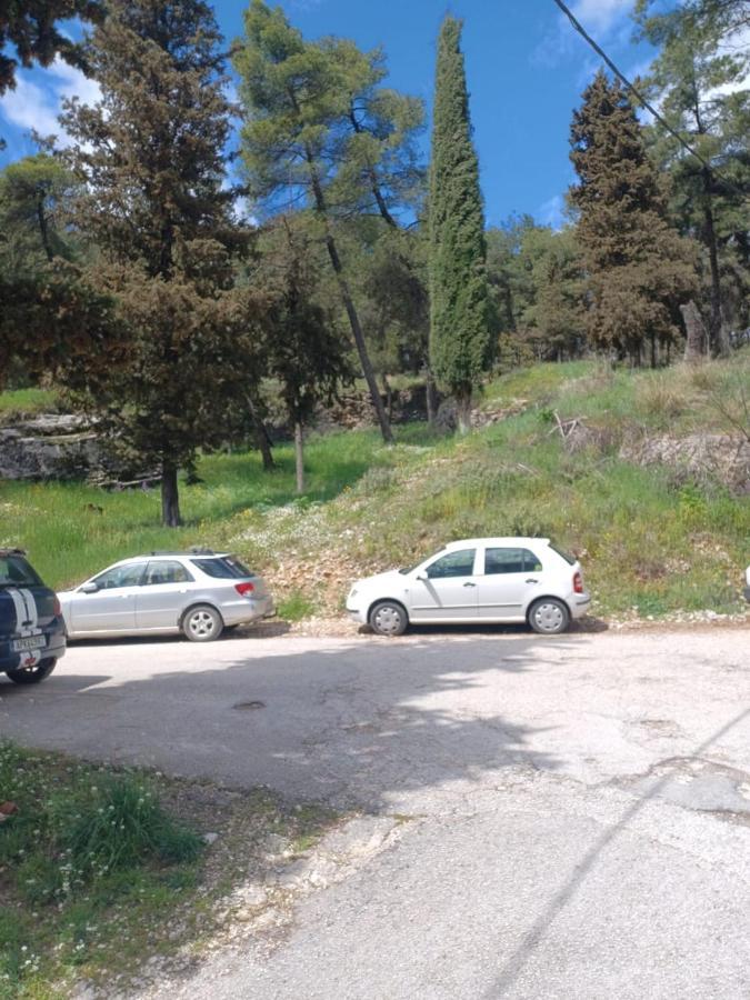 Ένα Μέρος Για Ήσυχες Διακοπές Leilighet Ioánnina Eksteriør bilde